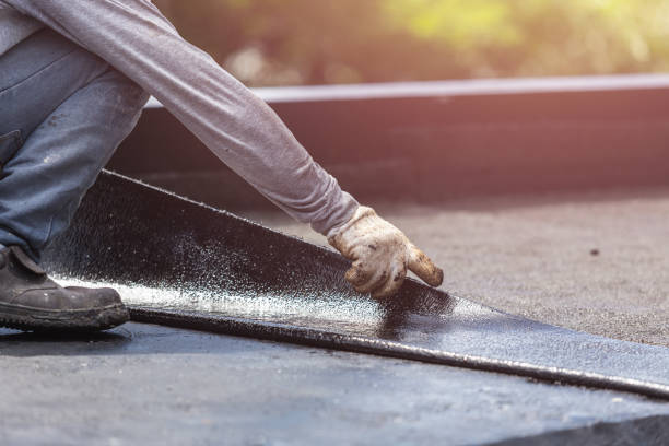 Professional Basement Waterproofing technician working in Forkland, AL
